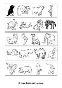 animal worksheet for 2nd grade
