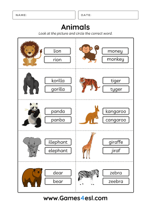 animal worksheet for 2nd grade