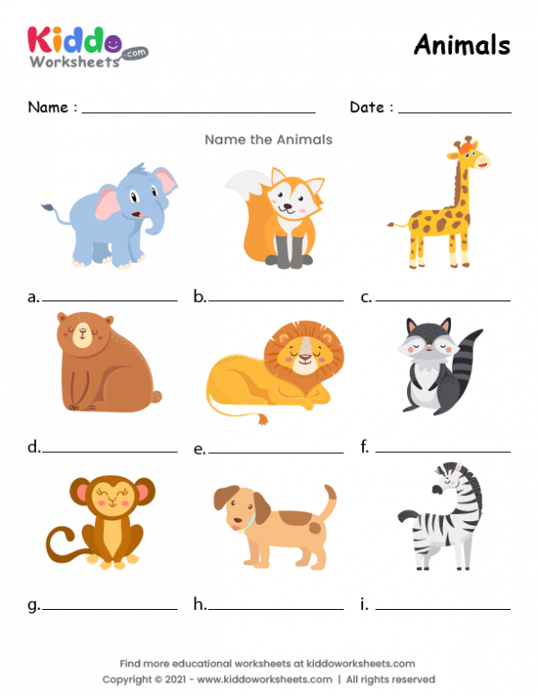 animal worksheet for kids