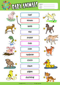 animal worksheet for kids