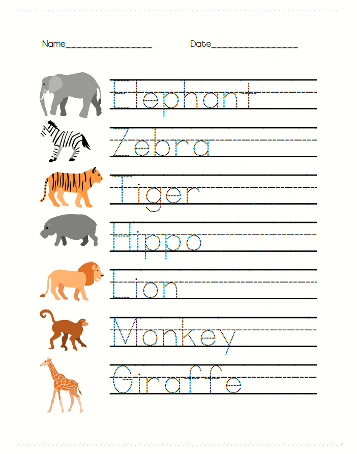 Safari Animal Math and Writing Worksheets for PreK - Cookies ...