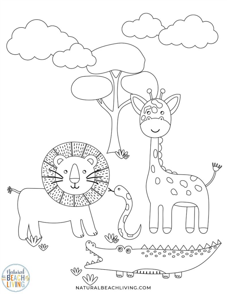 animal worksheet for preschool