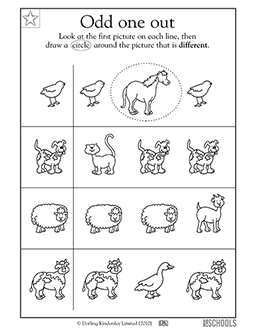 animal worksheet for preschool