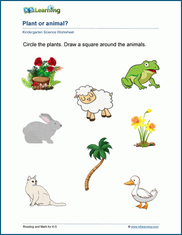 Plant or animal worksheets | Worsheets library