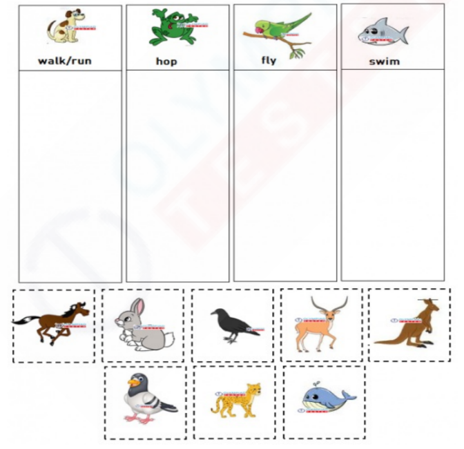 animal worksheet for preschool