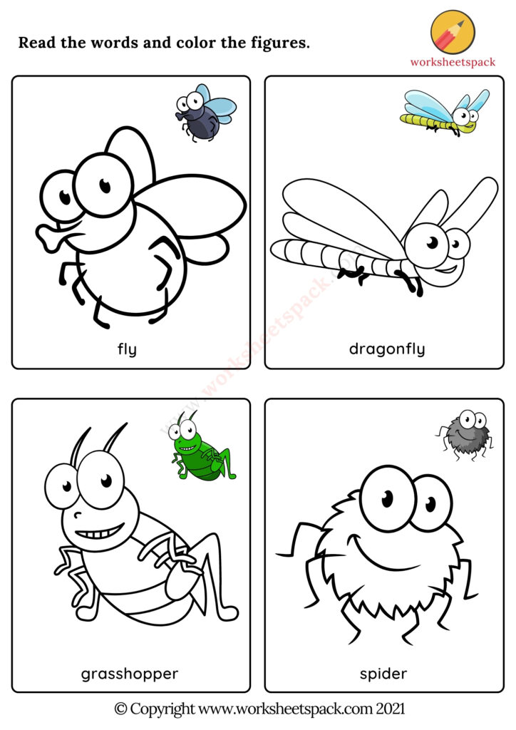 animal worksheet for preschoolers