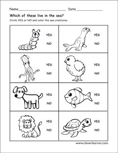 animal worksheet for preschoolers