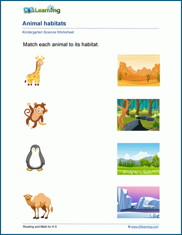 animal worksheet for preschoolers