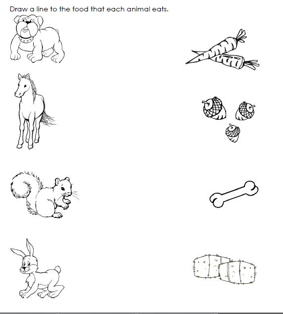 animal worksheet kindergarten