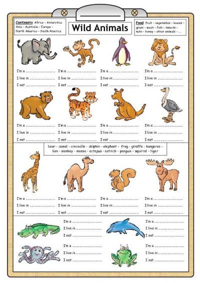 28 Animals ideas | animal worksheets, animals, texas symbols