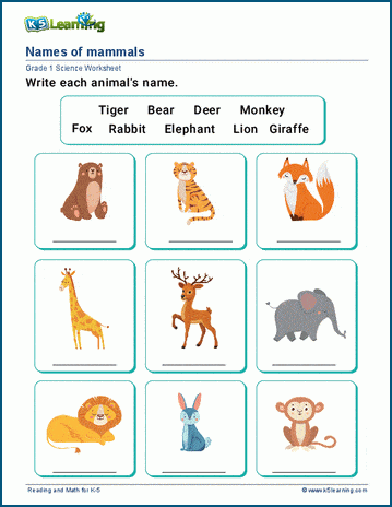 Animal names worksheets | Worsheets library