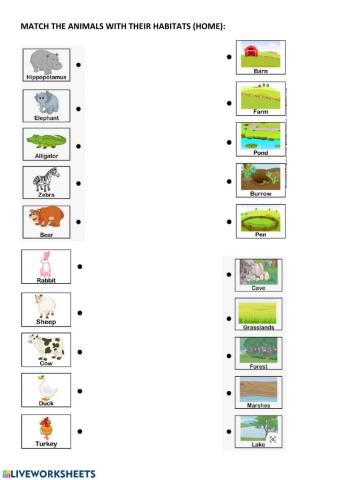 animals and their habitat worksheet