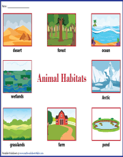 animals and their habitats worksheet