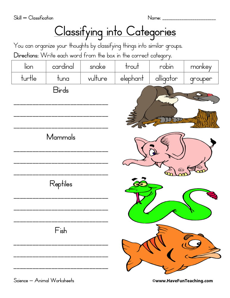 animals classification worksheet