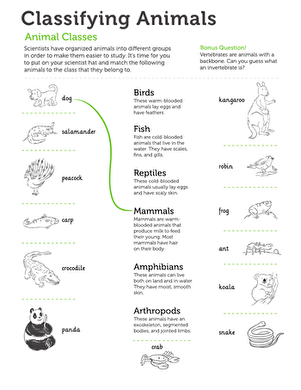 animals classification worksheet