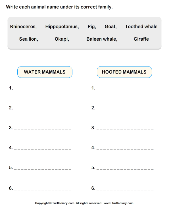 animals classification worksheet