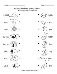 Kindergarten printables on animal homes | Animals and their homes ...