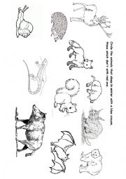 ANIMALS IN WINTER - ESL worksheet by subforlove