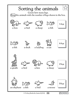 How many legs does this animal have? | Kindergarten, Preschool ...