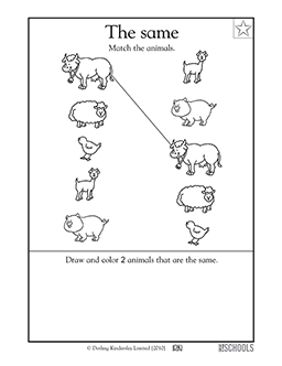 Match the animals | Kindergarten, Preschool Math Worksheet ...