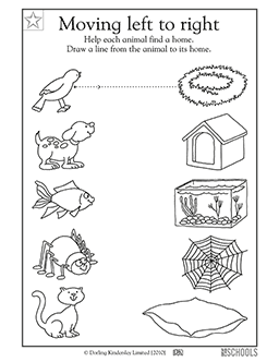 animals worksheet for preschool