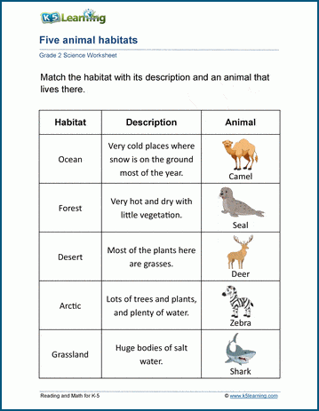 Animals Worksheets for Grade 2| Worsheets library