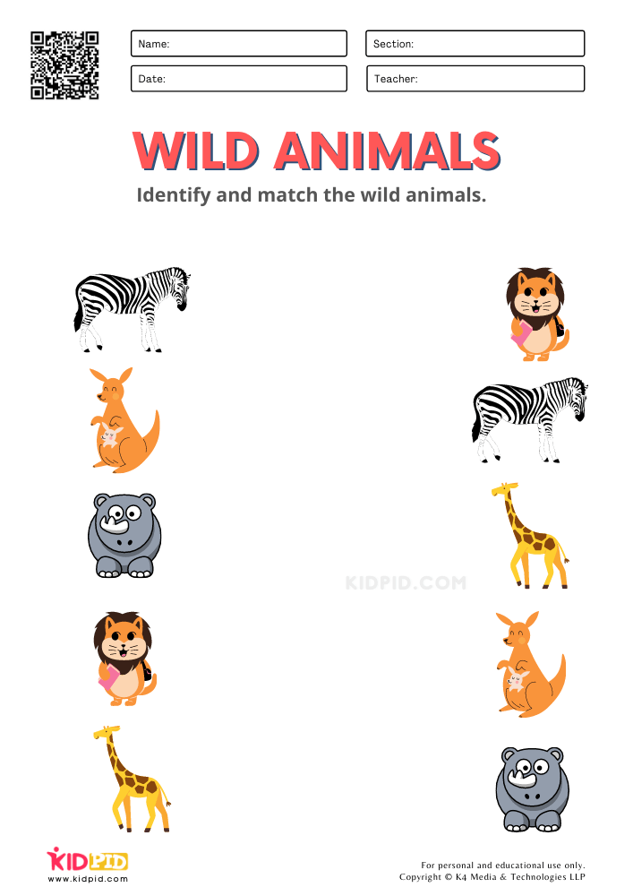 animals worksheet for