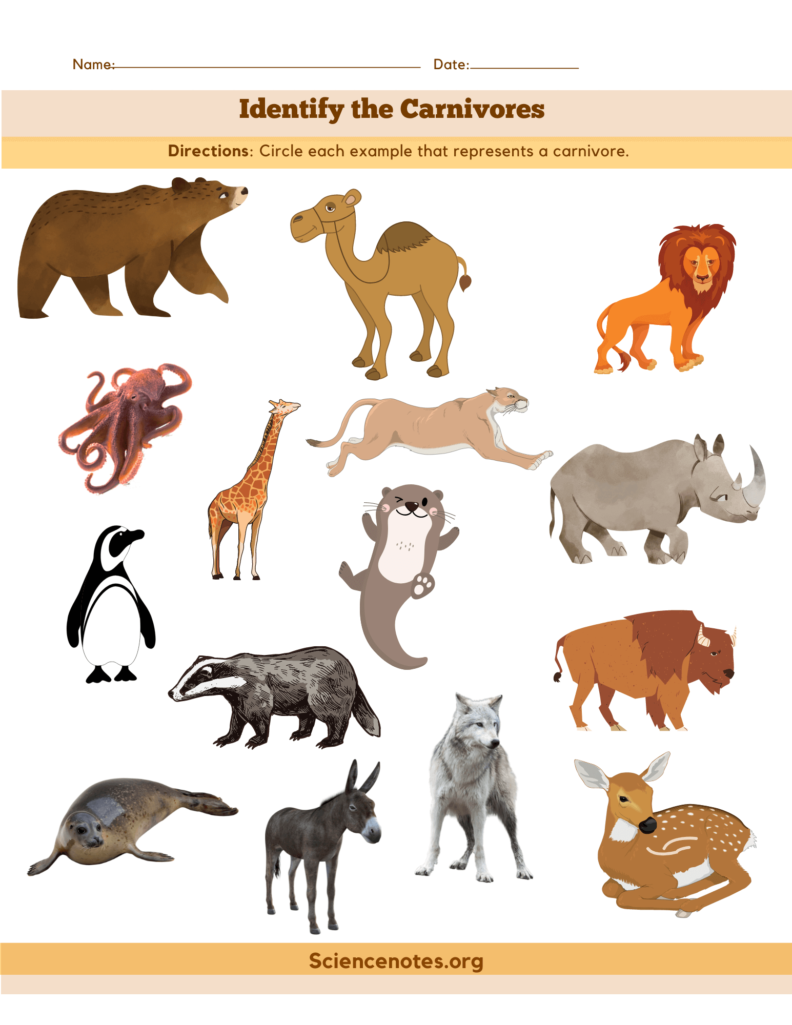 Animal Worksheets