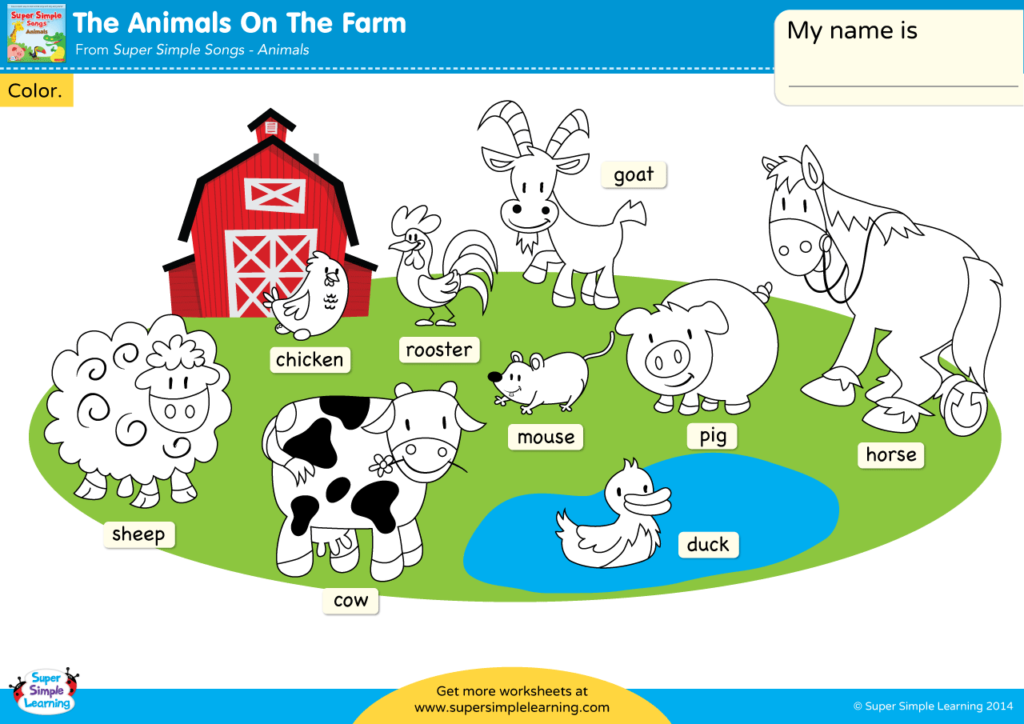animals worksheet