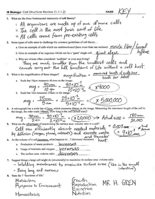 IB Cell Structure Review Key (1.1-1.2) | PDF