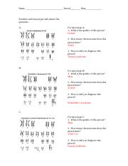 answers worksheet 6 karyotype