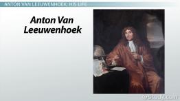 anton van leeuwenhoek worksheet
