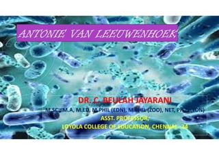 Antoine van leeuwenhoek | PPT