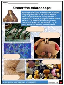 anton van leeuwenhoek worksheet