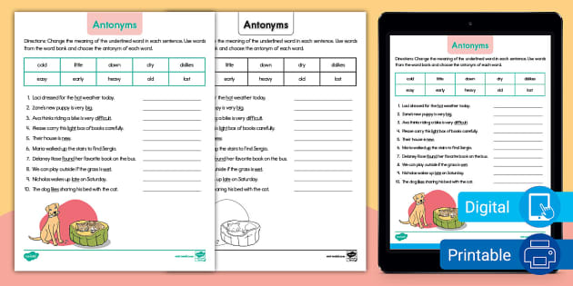 antonyms for 1st grade worksheet