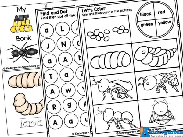FREE Ant Life Cycle for Kids Printable Worksheets