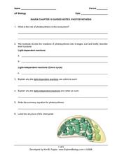 Ap Biology Photosynthesis Lesson Plans &  Worksheets