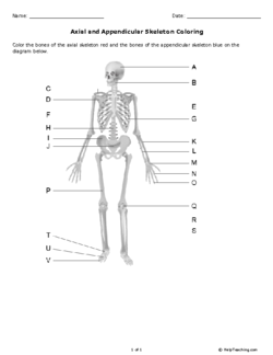 Axial and Appendicular Skeleton Coloring (Grade 10) - Free ...