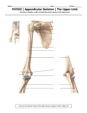 Appendicular Skeleton Labeling Worksheet Pdf - Fill Online ...