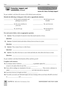 Appendicular Skeleton Lesson Plans &  Worksheets | Lesson Planet