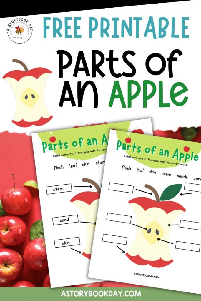apple s for preschool printable worksheet