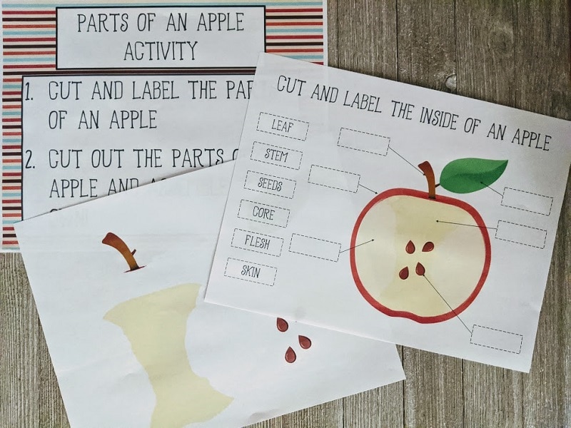 apple s for preschool printable worksheet