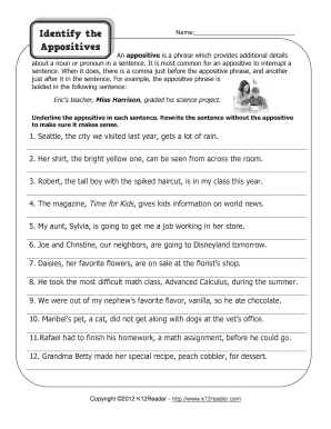 Appositive Worksheet Pdf Middle School - Fill Online, Printable ...