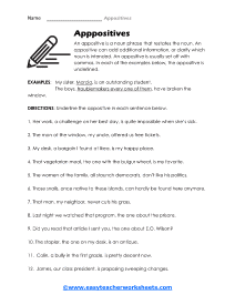 appositive worksheet with answer key