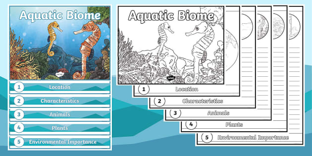 aquatic biome worksheet