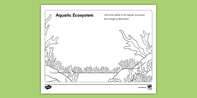 Draw the Aquatic Ecosystem Activity for K-2nd Grade - Twinkl