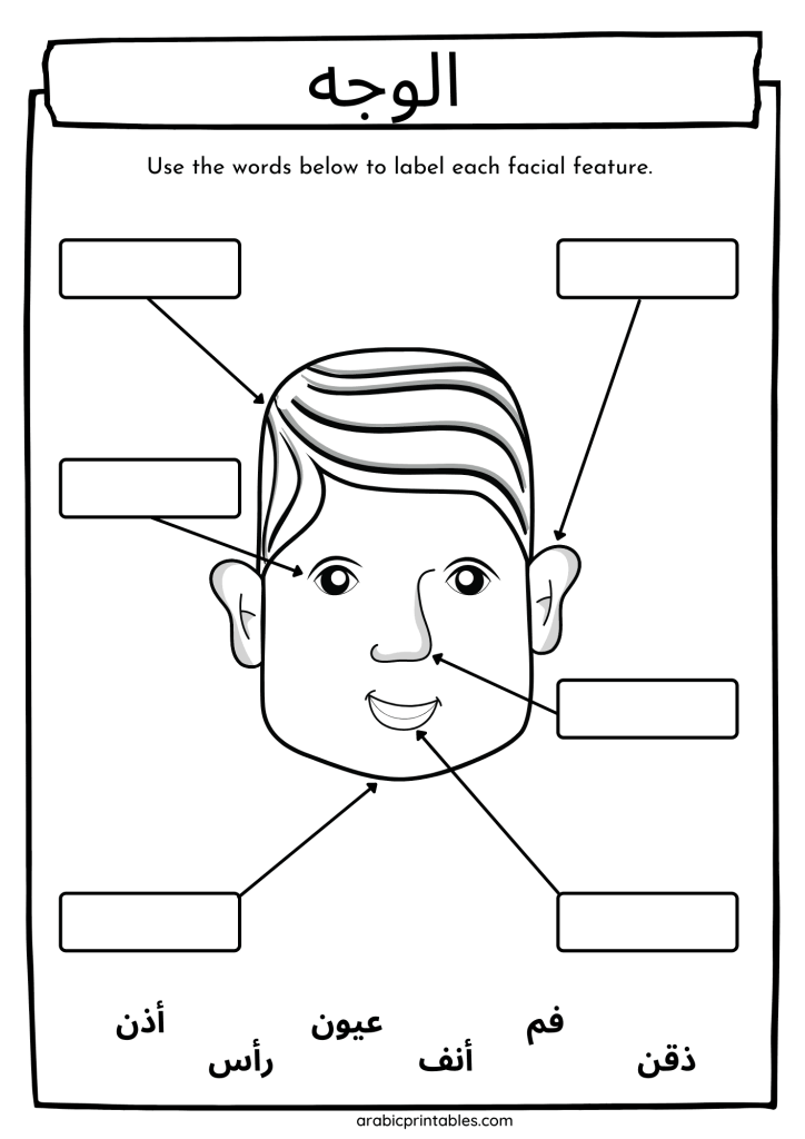 arabic worksheet