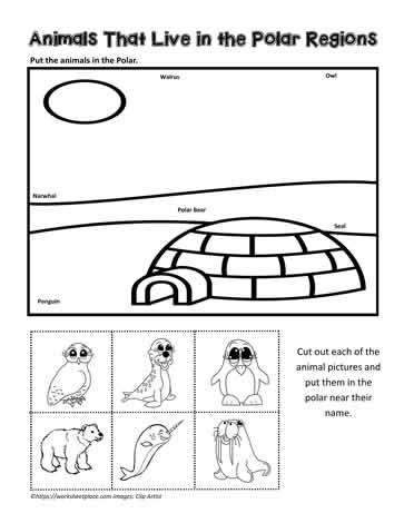 Polar Animals Worksheets