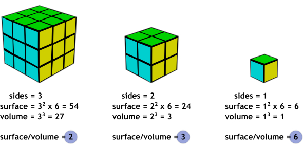 Math: Surface Areas And Volume Practice Test! - Quiz, Trivia ...