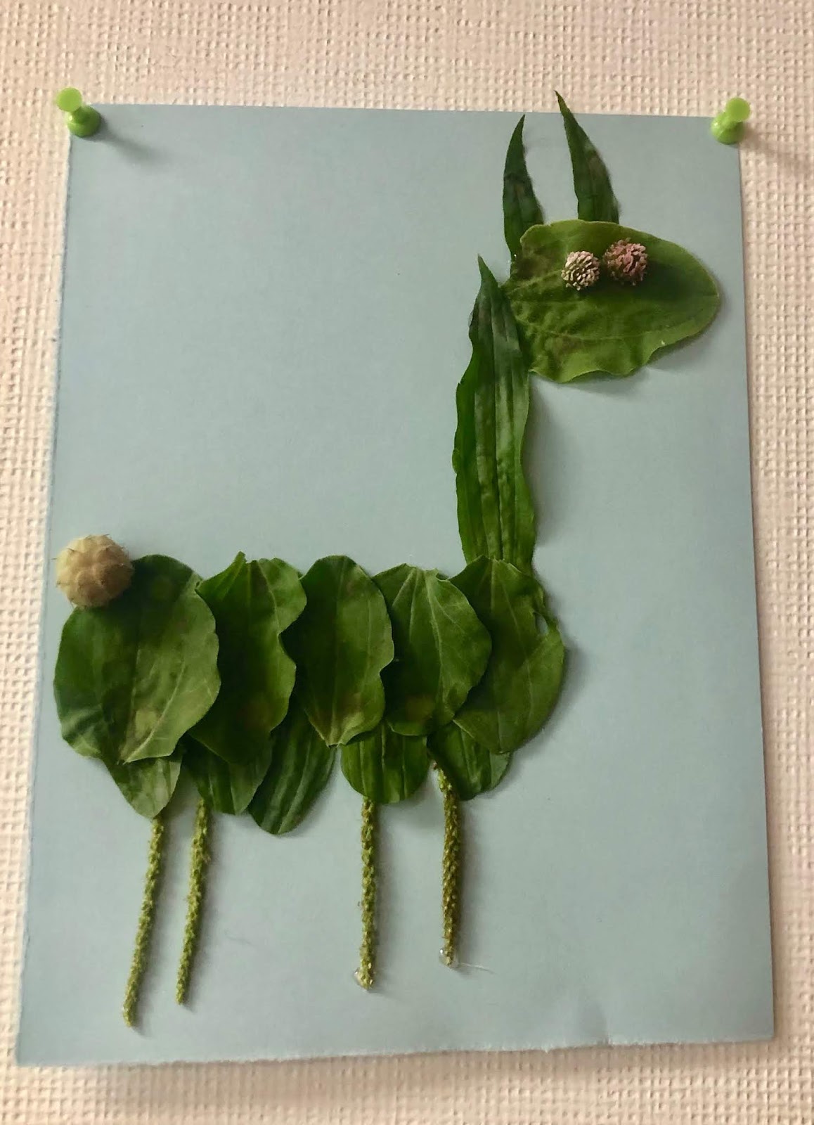 Integrating Art and Science Second Grace Science Activity ...